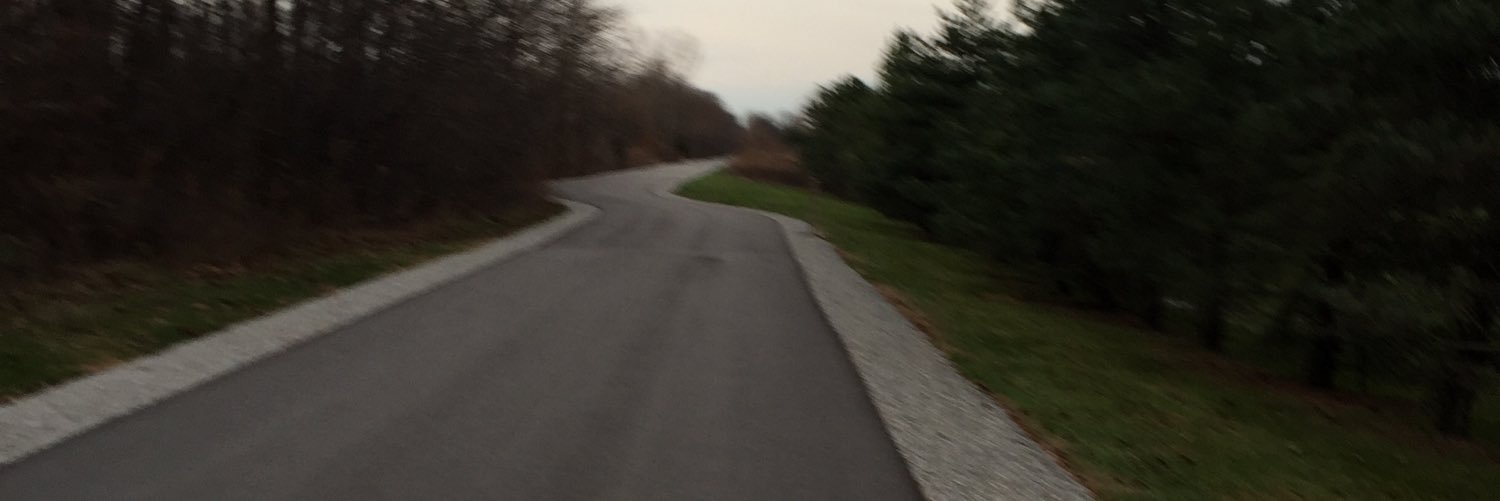 mplemmon's profile banner image