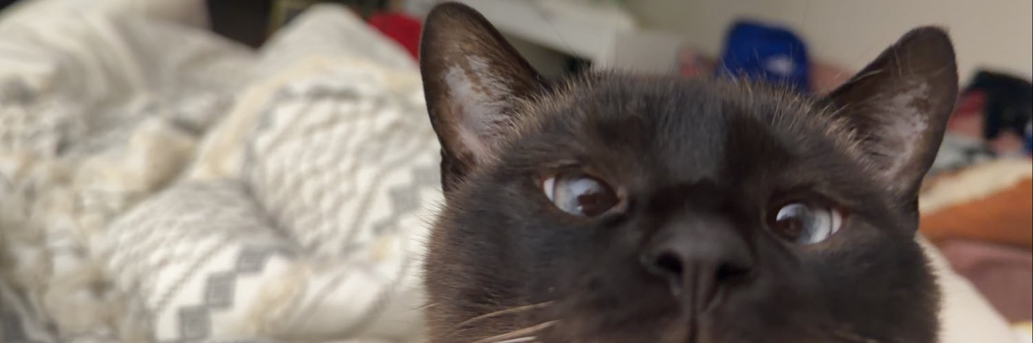 danerogers9's profile banner image