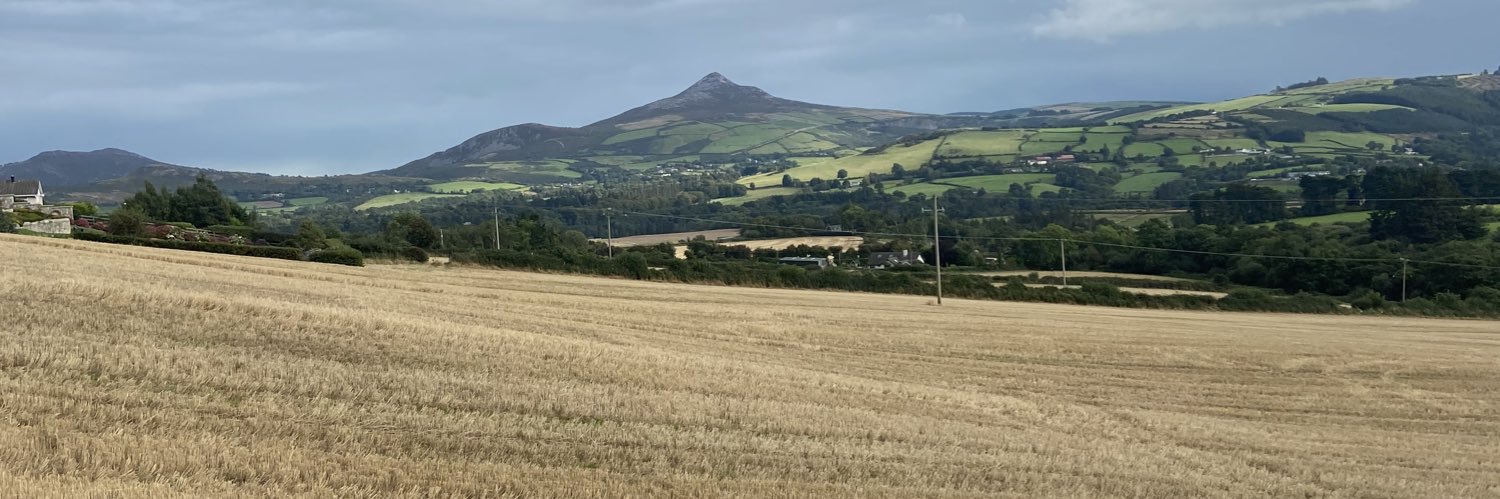 Hannah Linane banner