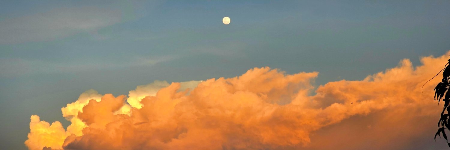 otherelvis's profile banner image