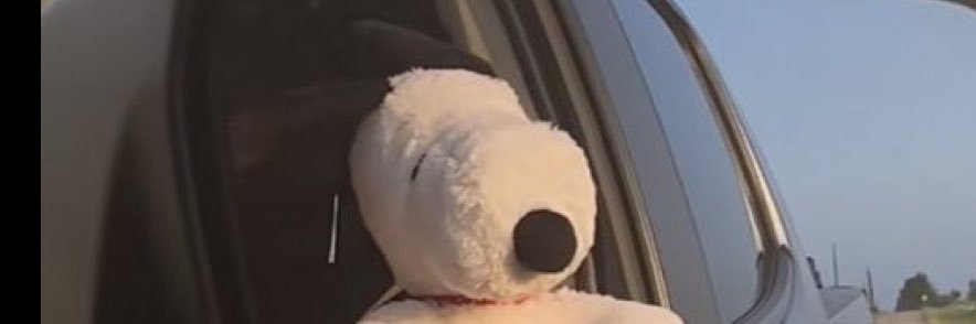elianaidk's profile banner image