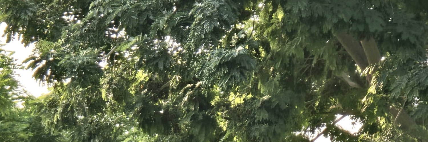 fatimhibr's profile banner image