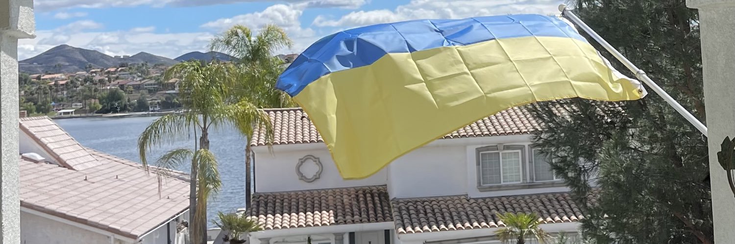 Sandi Anthony banner