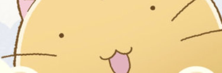 ShinchangRock's profile banner image