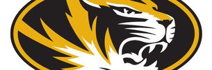 briancarleton's profile banner image