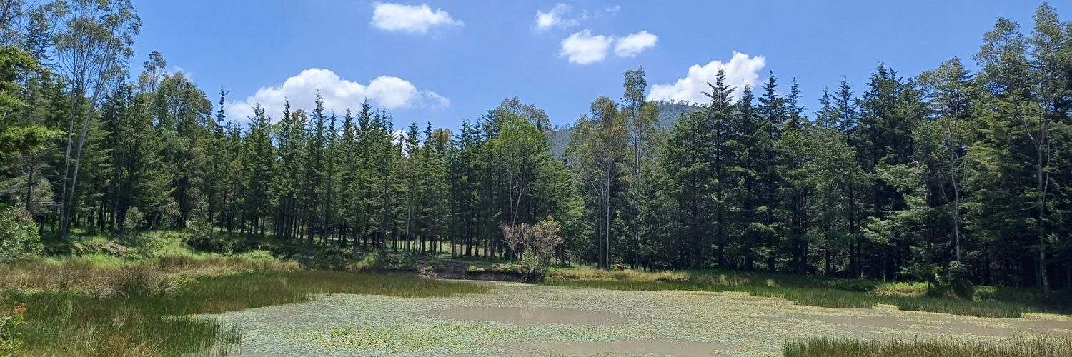 Magaly (Margarita) Vasquez Montaño 🍉 banner