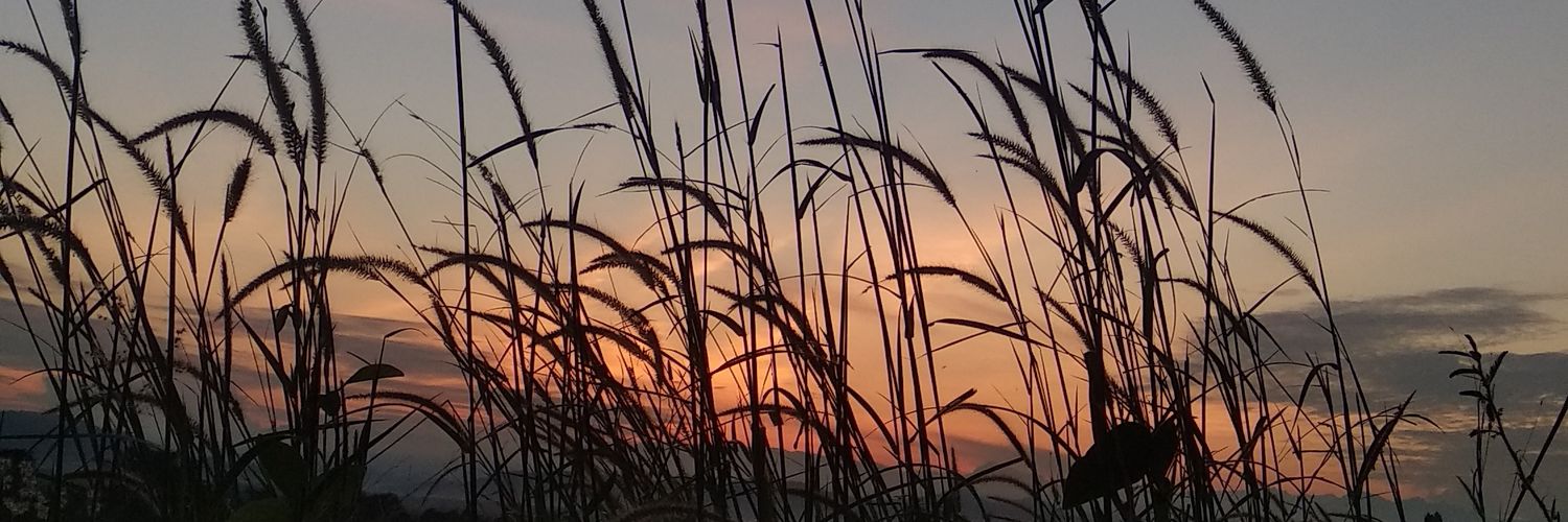 Azzull_19's profile banner image