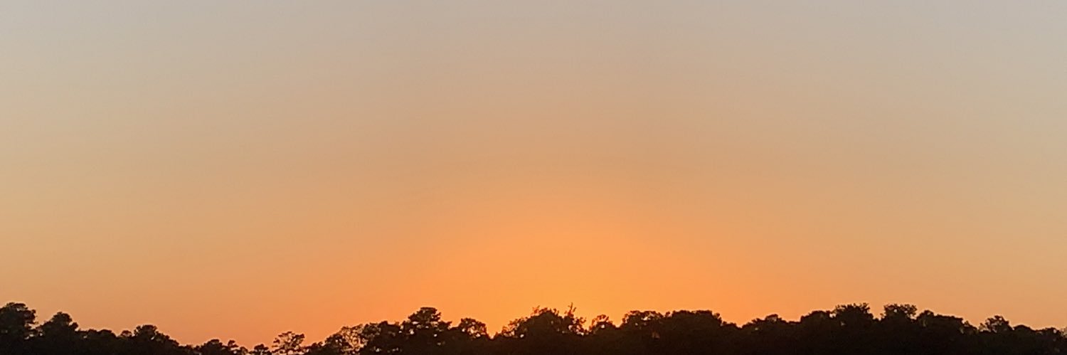 Amanda Cerda banner