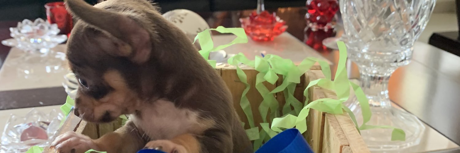 SofaAcua9's profile banner image