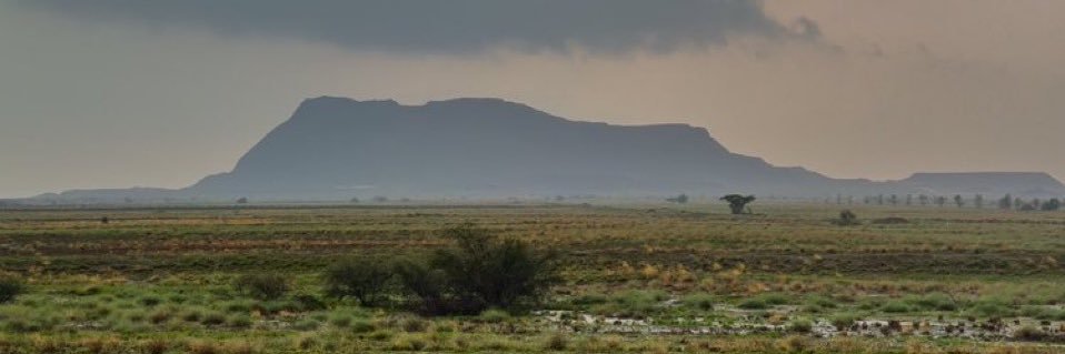 مهند الصبياني banner