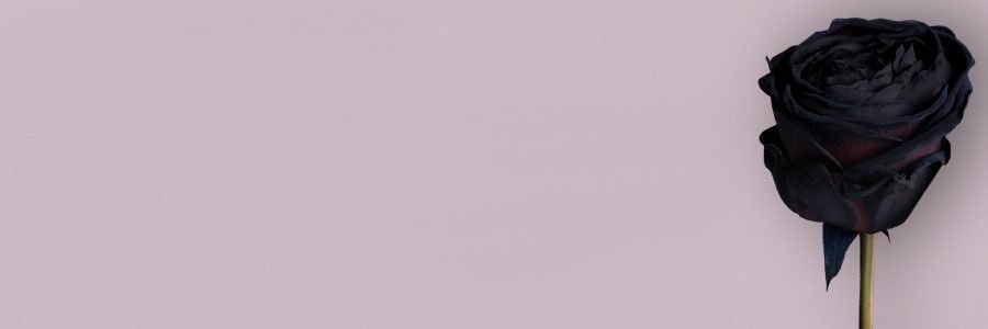 Maddie_Ellaa's profile banner image