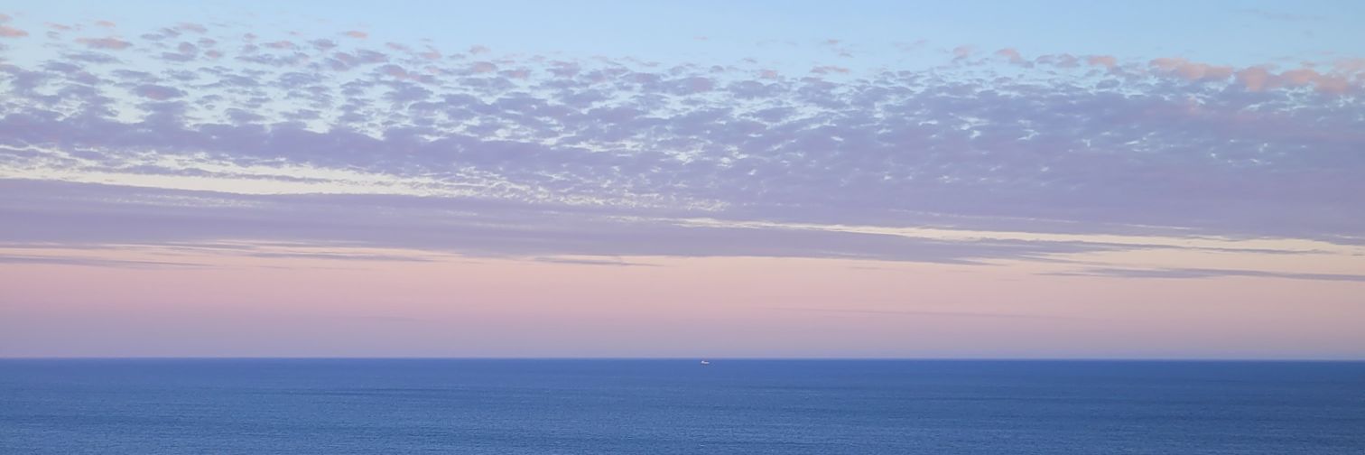 quentinfernal banner