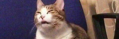 luisoservin's profile banner image