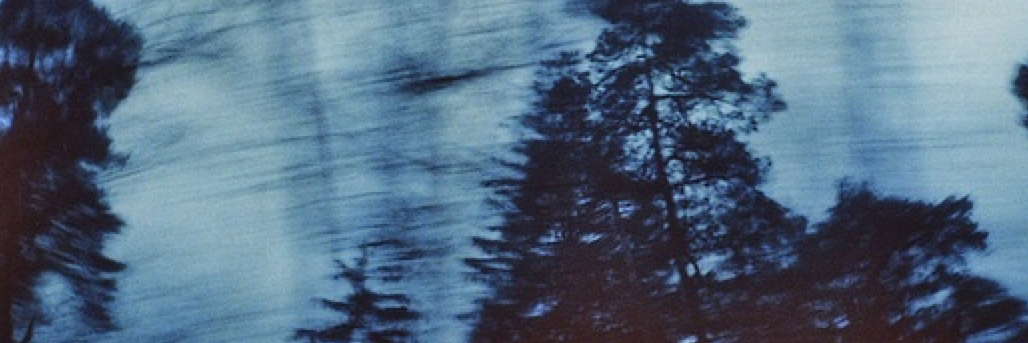 le_schwartz's profile banner image
