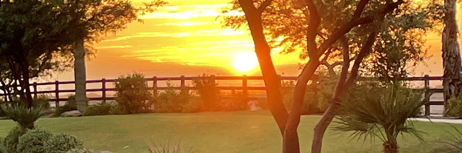 Susan Borzych banner