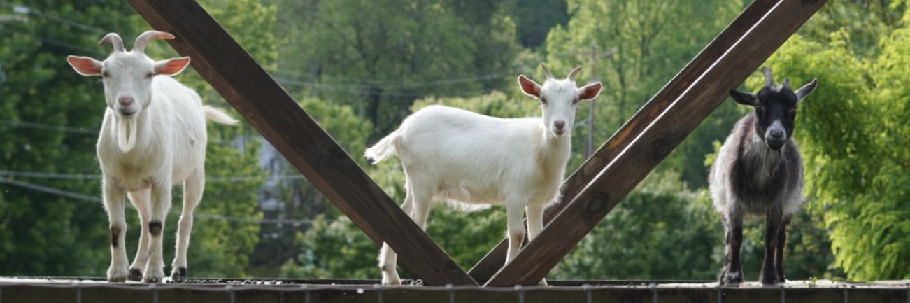 Raleigh Maxwell banner