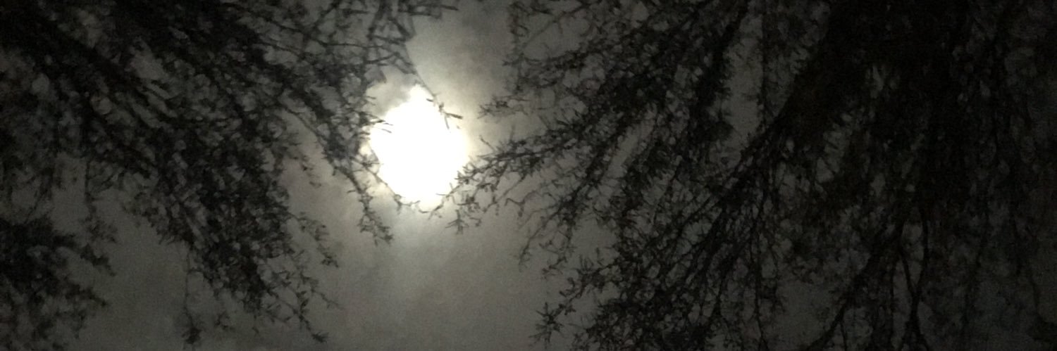 melpomeneWITCH's profile banner image