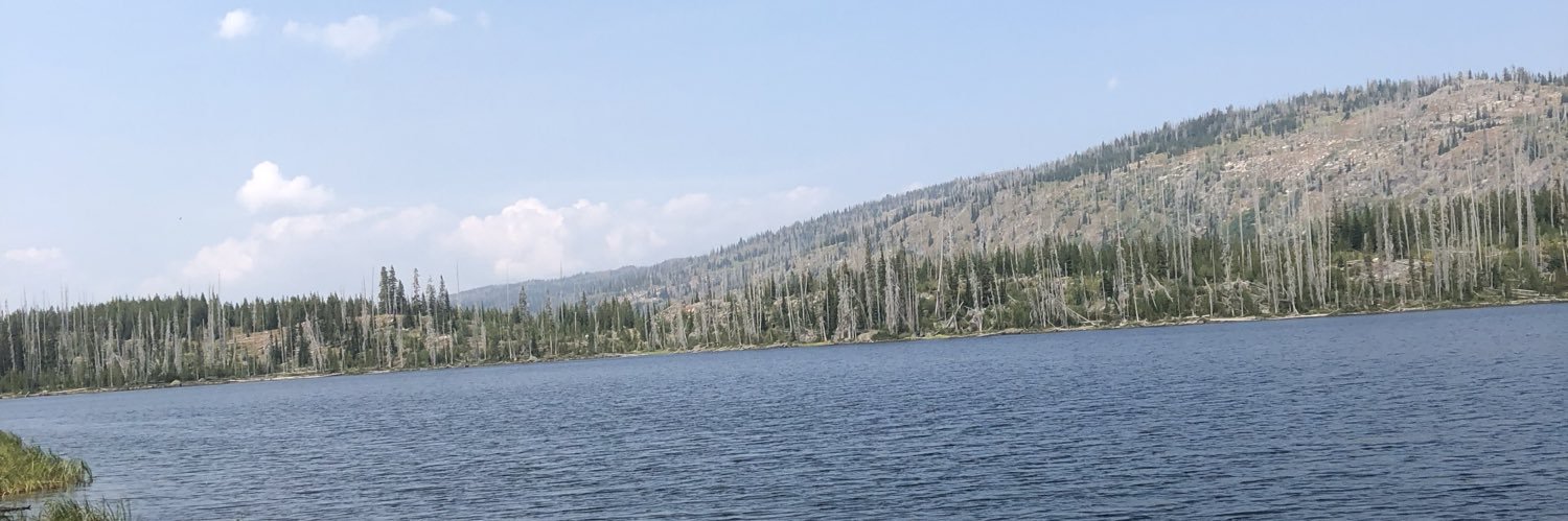 Johvan Dillon banner