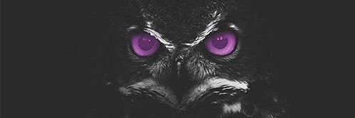 TheInfamous05's profile banner image