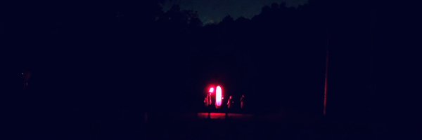 Animal_Scream Profile Banner