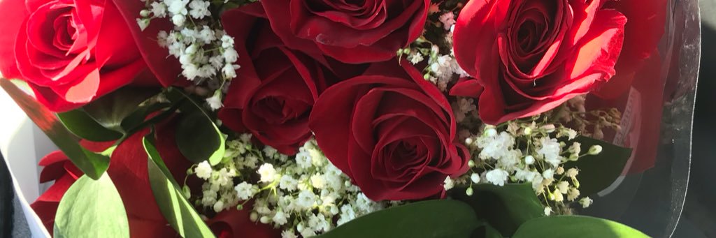 Osmith802's profile banner image