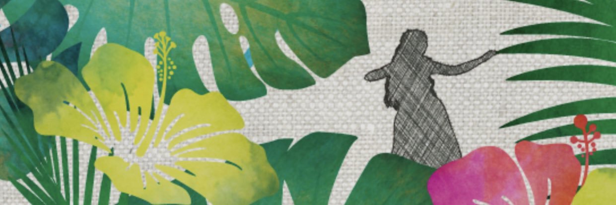 Sora133 banner
