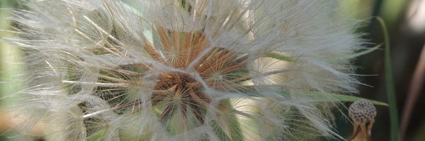 HeyPastie Profile Banner