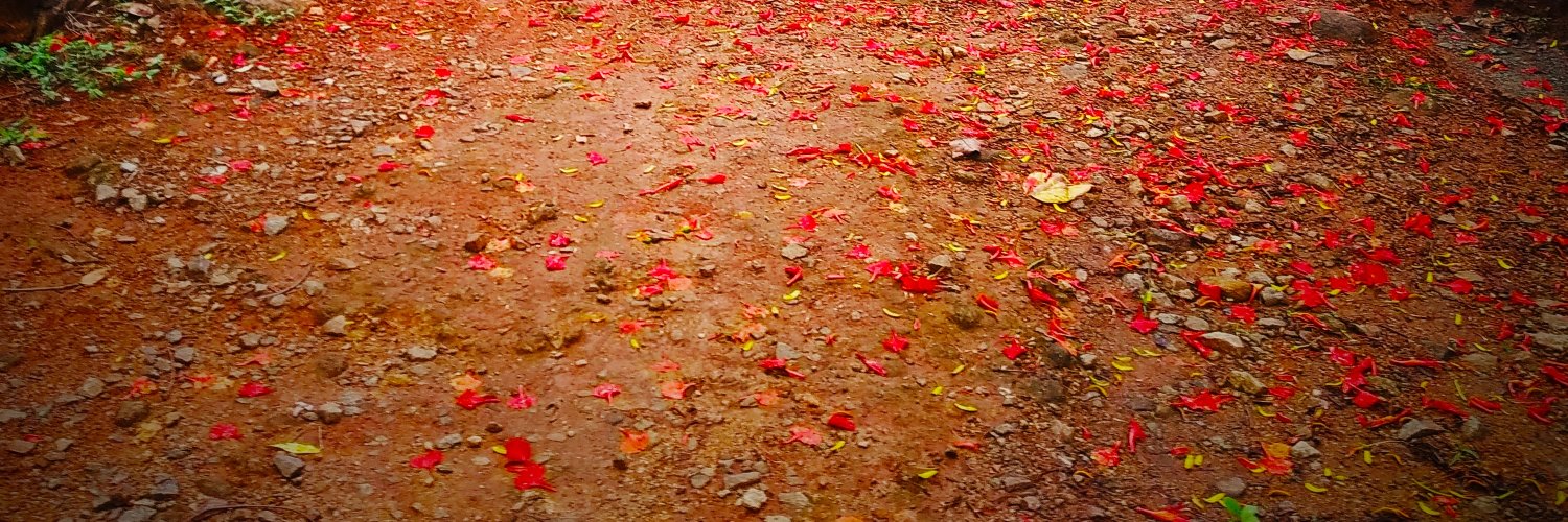 SAJITH V SADASIVAN banner