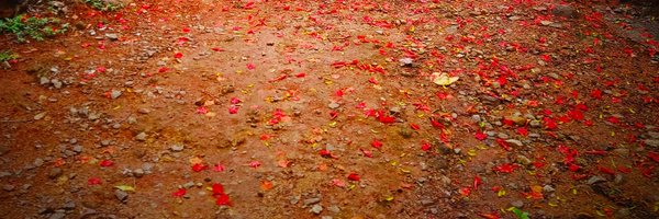 v_sadasivan Profile Banner