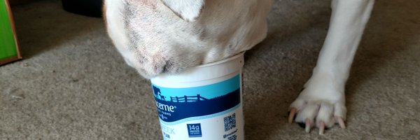 corgthemighty Profile Banner