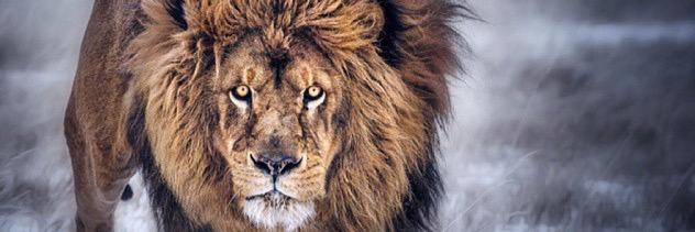 jay_saunders3's profile banner image