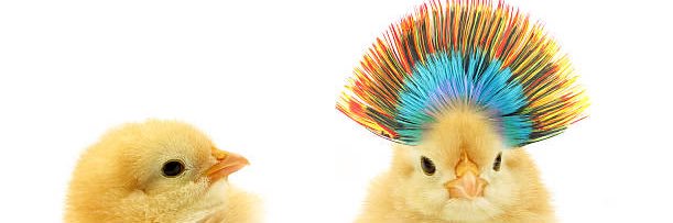 onnsenchan's profile banner image