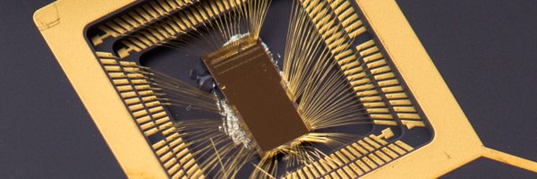RISCVchip Profile Banner