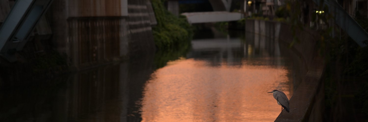 ending7's profile banner image