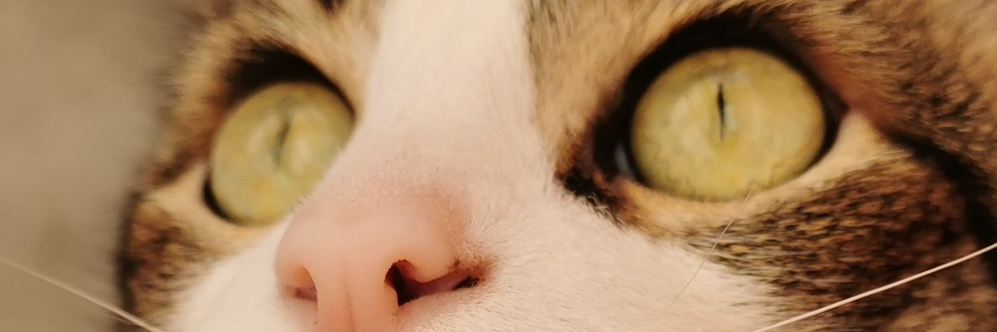 m_m0nz's profile banner image