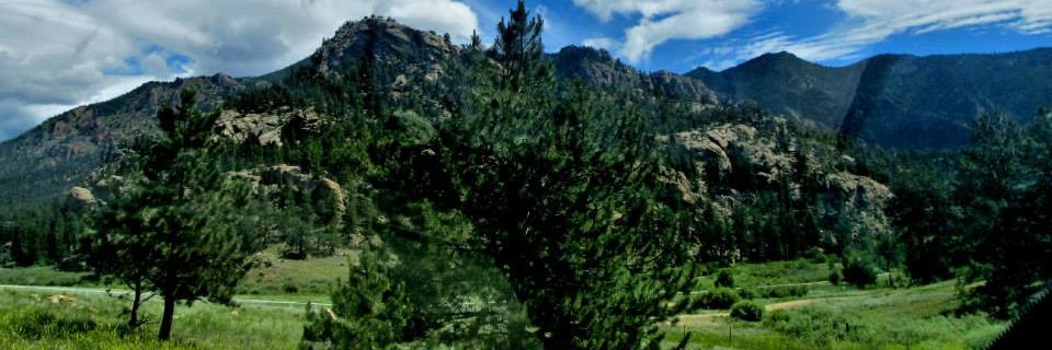 WandaANelson's profile banner image