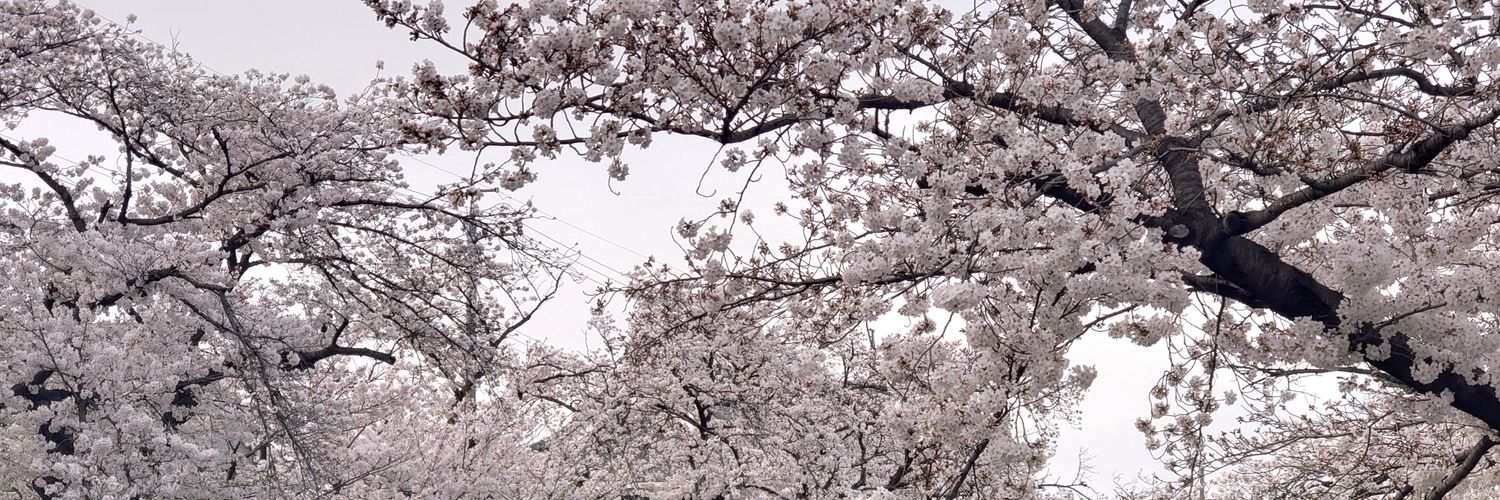 SAMORAN_OSHI's profile banner image