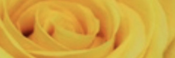 mindymcdonald Profile Banner