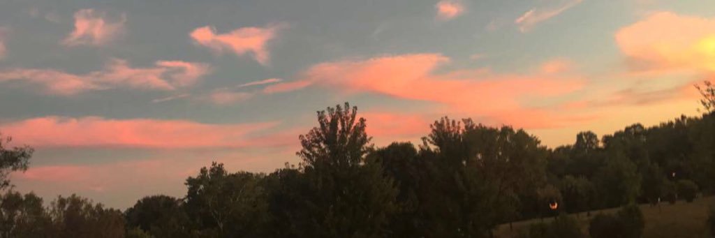 lissylang's profile banner image