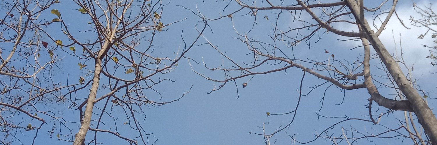 anggitanura's profile banner image