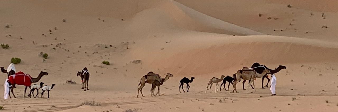 Kate Sullivan banner