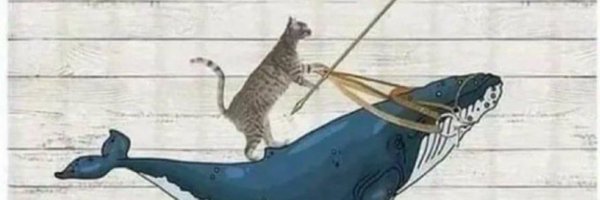 Dhavidote Profile Banner