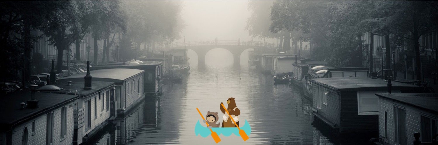 Amsterdam (Salesforce) Developer Group banner