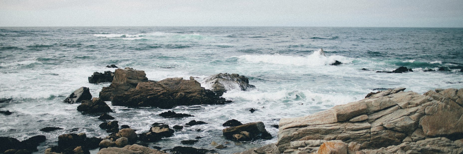 caitlinbarrett's profile banner image