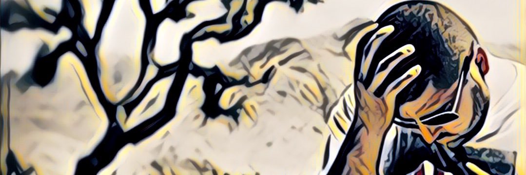 chips780's profile banner image