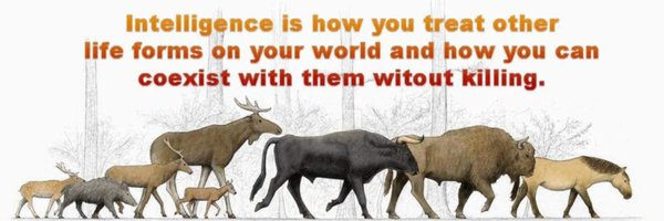 Botervlootje3 Profile Banner