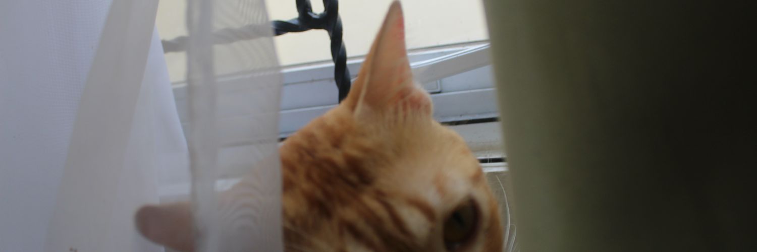 gnulusis's profile banner image
