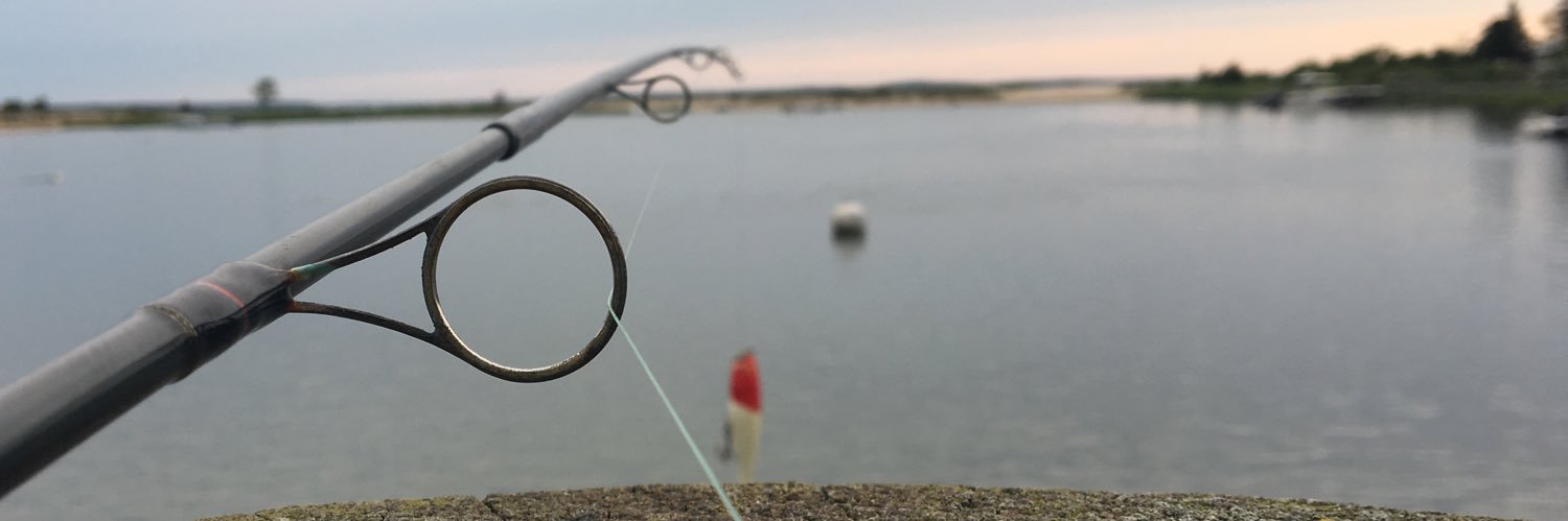 Timmy Facciola banner