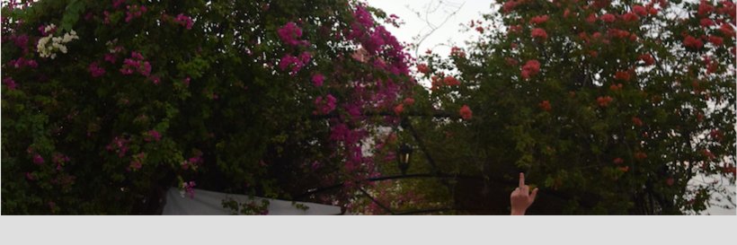 gracempowers_'s profile banner image