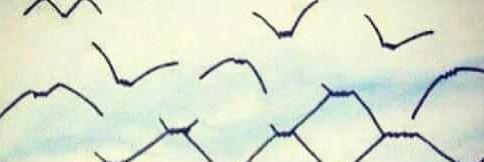 MARLONROSSB's profile banner image